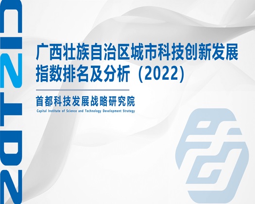 啊啊啊好爽啊大鸡巴在线观看【成果发布】广西壮族自治区城市科技创新发展指数排名及分析（2022）